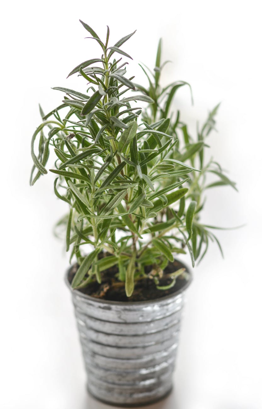 Accusantium Doloremque