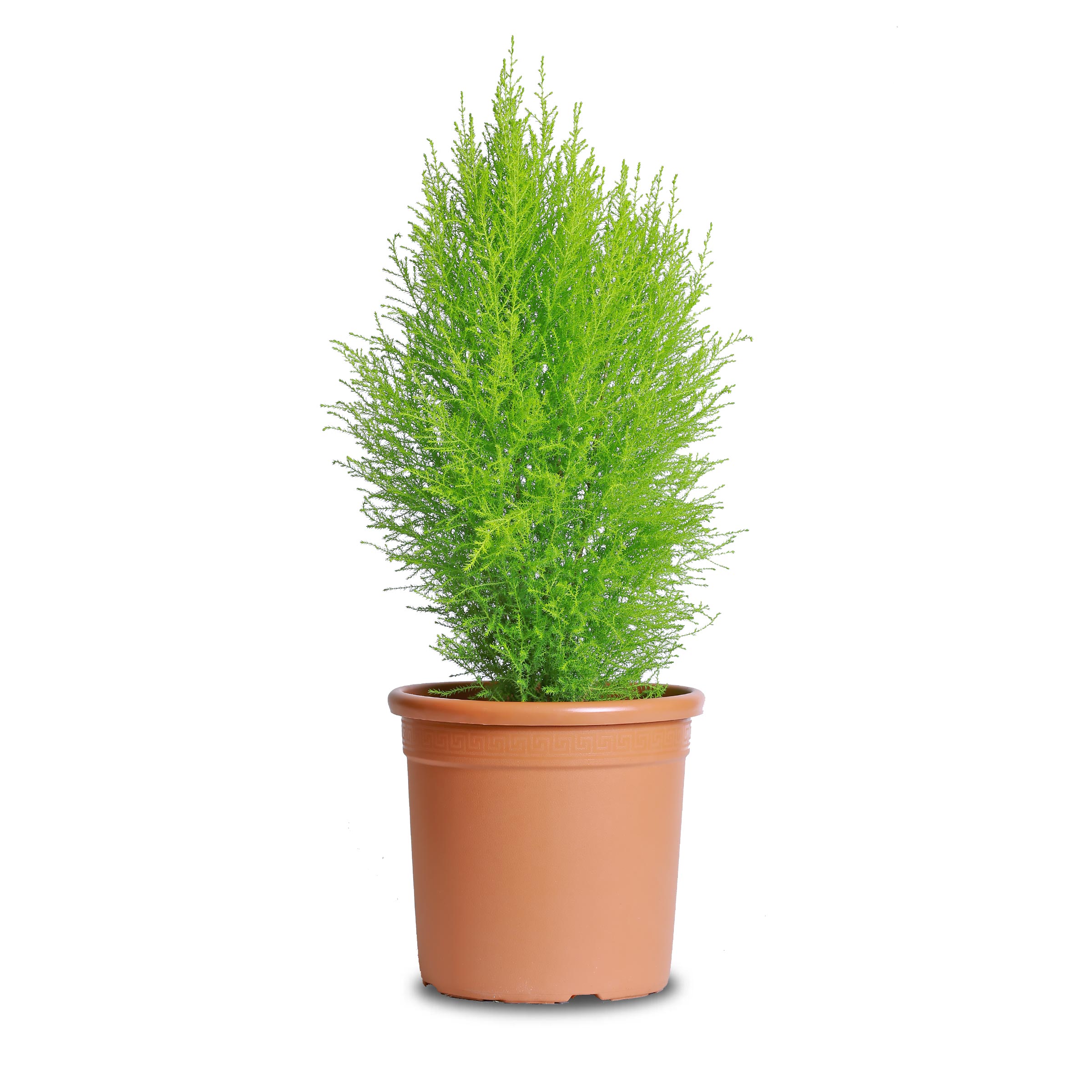 Accusantium Doloremque
