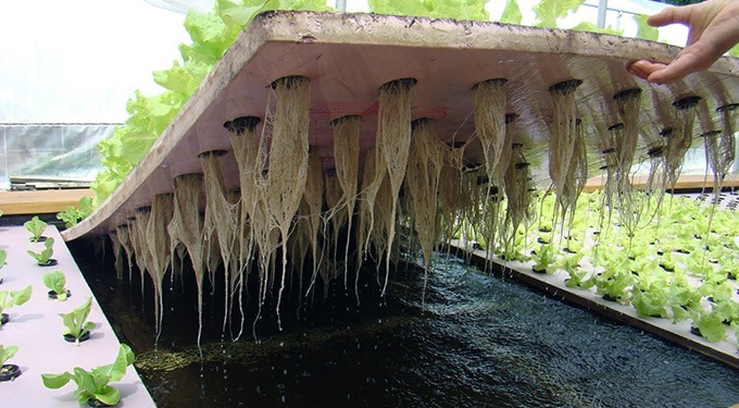 Accusantium Doloremque